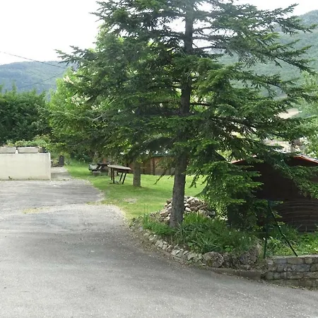 Roques Thierry
