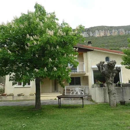 Roques Thierry *